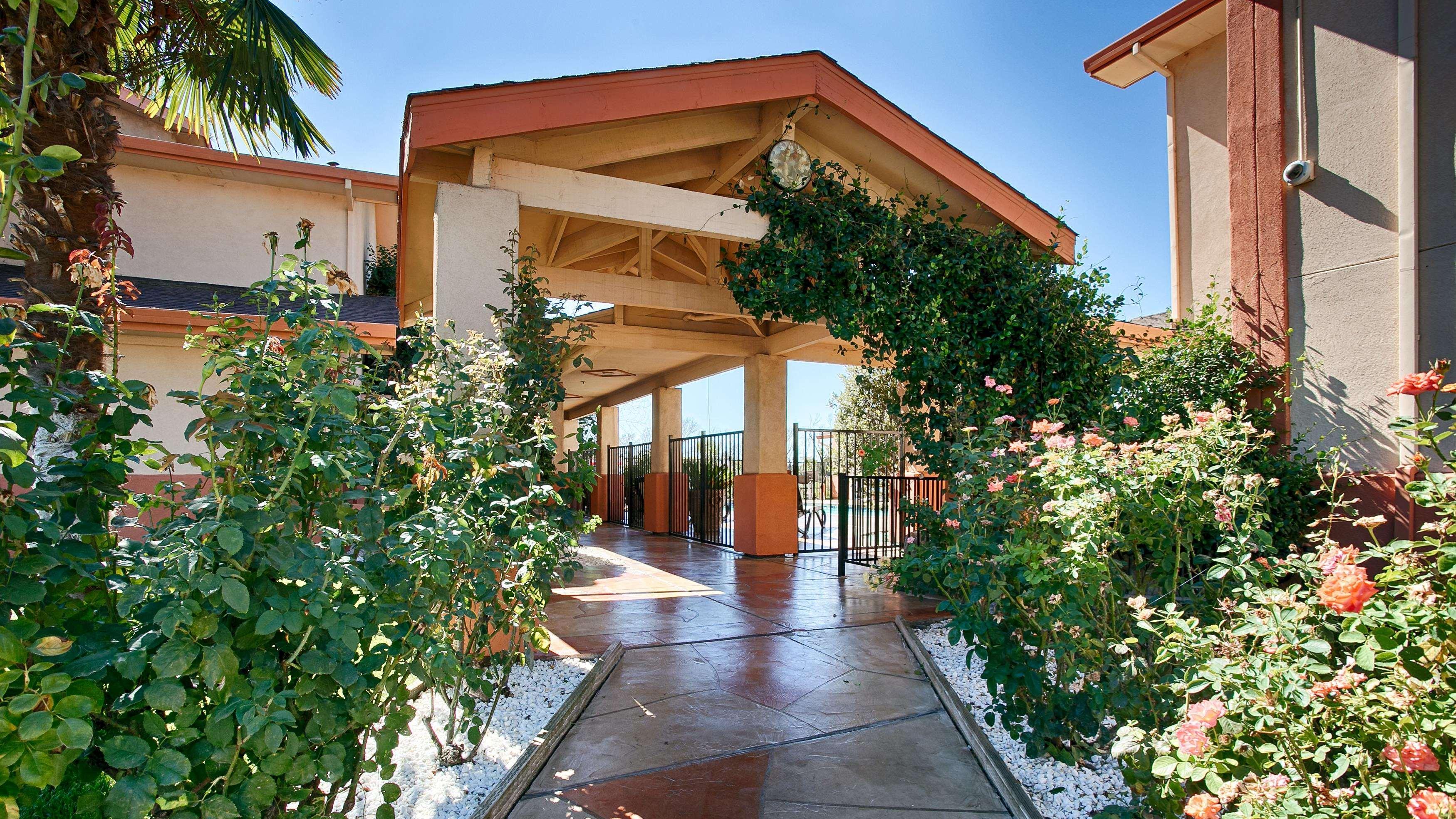 Best Western Antelope Inn & Suites Red Bluff Zewnętrze zdjęcie